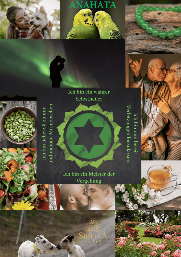 Collage aus Natur, Pflanzen, Tieren und Menschen in harmonischen Szenen und positiven Momenten.