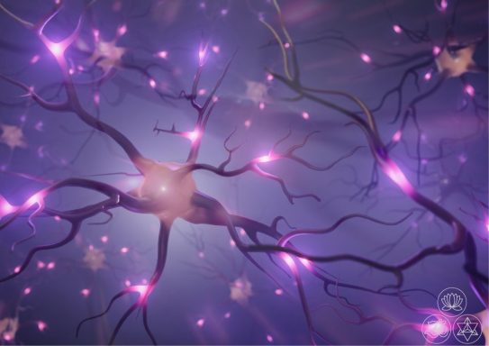 Neuronen mit leuchtenden Verzweigungen auf einem abstrakten Hintergrund.